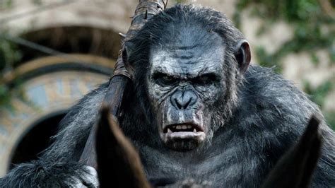 The Truth About Planet of the Apes’ Caesar and Koba - IGN