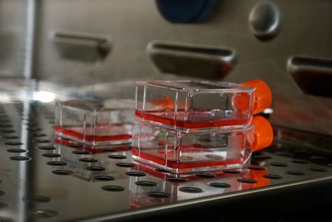 Cell Culture with Cellwyn: Training in the Lab - Thawing the Cryopreserved Cells and ...