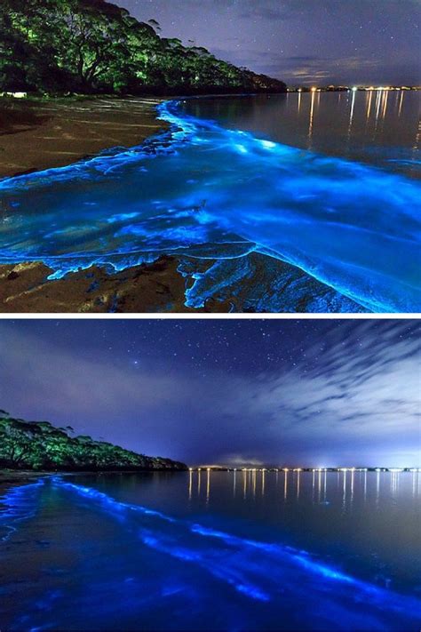 15 of the World's Most Unique & Awesome Beaches | Puerto Rico | Pinterest | Bioluminescent bay ...