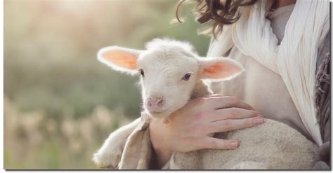 Christ Holding a lamb. | St. Paul's Episcopal Church, Maumee, OH