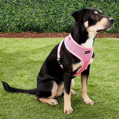 Puppia Soft Dog Harness, Pink, Large - Chewy.com