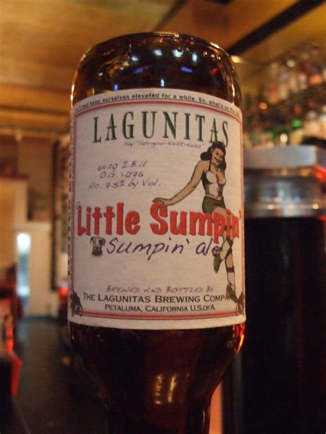 Lagunitas ‘A Little Sumpin’ Sumpin” | Beer Diary