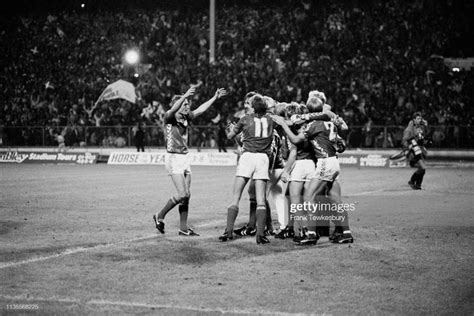 Denmark National Football Team Celebrates Victory