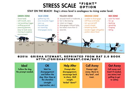 Using BAT Principles When Boarding Dogs Who Are Dog-Reactive, Fearful, or Shy | Solo Dogs