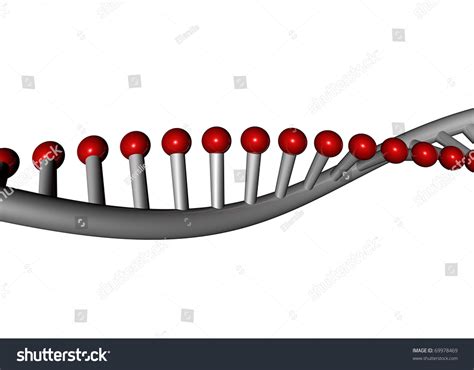 Dna Single Helix Stock Illustration 69978469 - Shutterstock