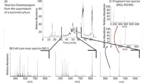 Figure 1 from Small Molecule LC-MS/MS Fragmentation Data Analysis and ...