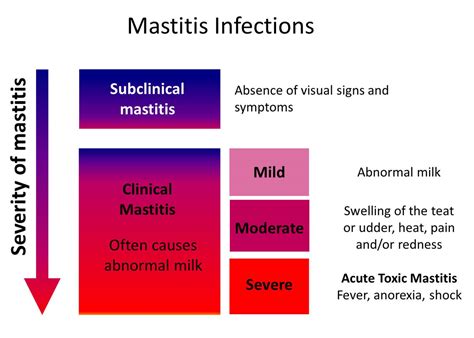 Farm Health Online – Animal Health and Welfare Knowledge Hub – Mastitis