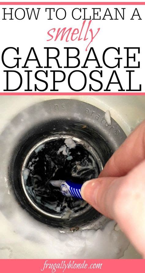 How To Clean A Smelly Garbage Disposal | Cleaning hacks, Garbage ...