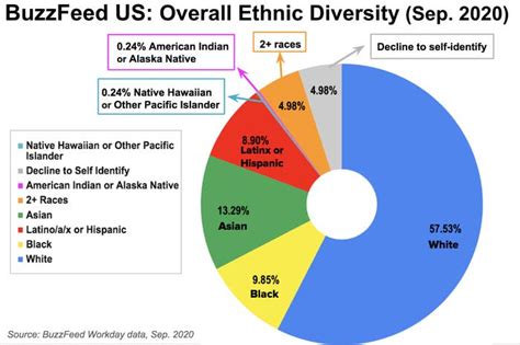 Us Race Demographics Pie Chart - Best Picture Of Chart Anyimage.Org