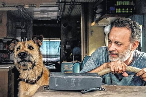 Review: Tom Hanks, A Robot And A Dog In 'Finch' - Escalon Times