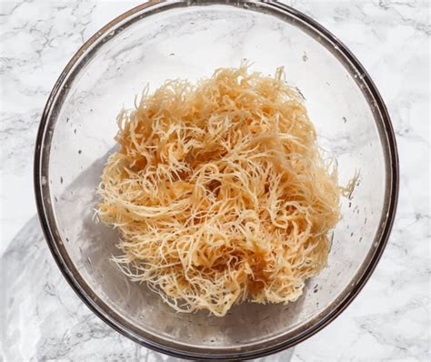 5 Different Ways To Use Sea Moss Gel - Good Food Baddie
