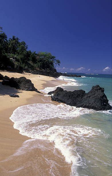 30+ Comoros Anjouan Beach Stock Photos, Pictures & Royalty-Free Images ...