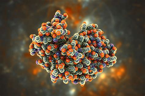 Studying the Structure of Complex Biological Samples