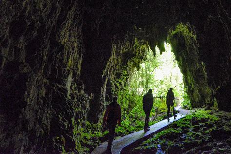 Waitomo Glowworm Caves Facts