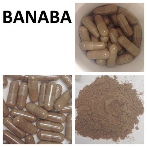 Banaba Extract with 1% Corosolic Acid, 250 mg, 60 Vegetable Capsules ...