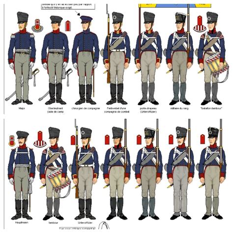 Napoleonic Uniforms | Uniformes militares, Guerras napoleónicas, Señas militares