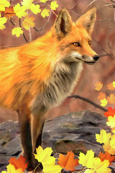 Fall Fox Brown Painting by MGL Meiklejohn Graphics Licensing | Fine Art America