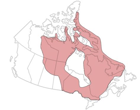 Canadian shield Forest Lands - Canada's Landforms and Economic Regions Assignment By Lance Rogan