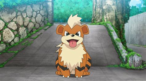 Pokemon GO: Can Shiny Growlithe be caught?