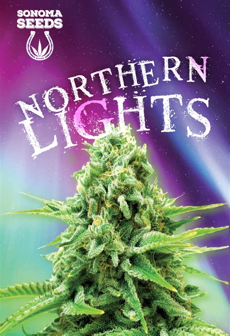 BUY Northern Light Feminized Seeds