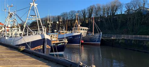 Eyemouth Harbour with Disabled Access - Eyemouth - Euan's Guide