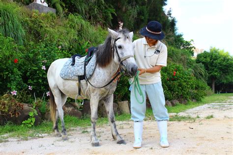 Touching with Yonaguni horse | Best information for your Okinawa Trip