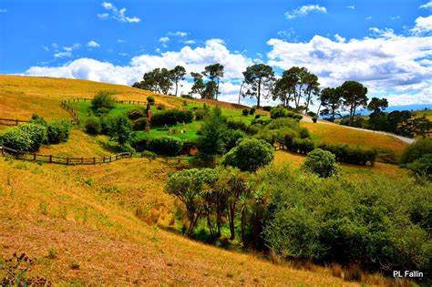 PL Fallin Photography: Hobbiton Shire - Bilbo Baggins Jumping Fences