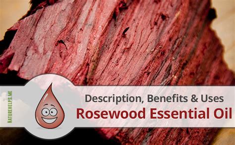 Rosewood Essential Oil. Description, Benefits & Uses