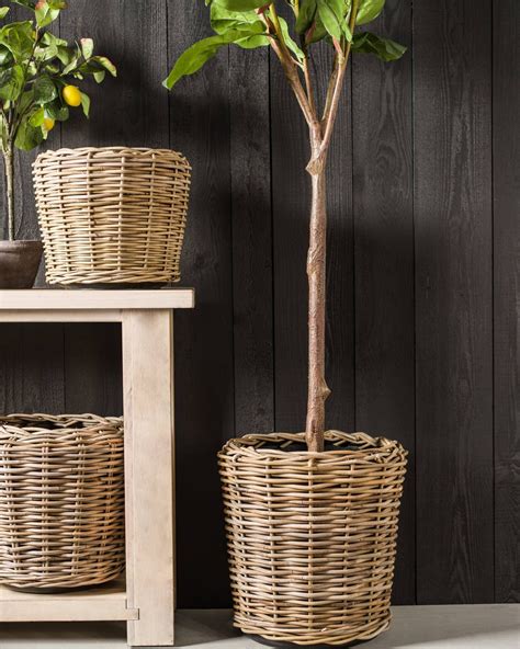 Fabulous Wicker Baskets For Planters Hardy Hanging Plants Outdoor Hippo ...