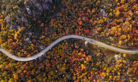 Blue Ridge Parkway - The Perfect Fall Foliage Road Trip!