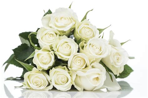 White Roses Bouquet | Send Flower Turkey - Online Florist Shop