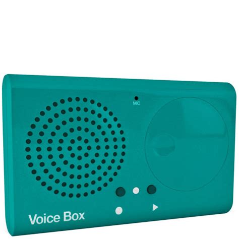 Voice Box with Warp Effects | IWOOT