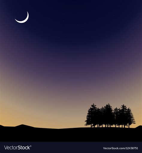 Night time sky nature landscape with moon Vector Image