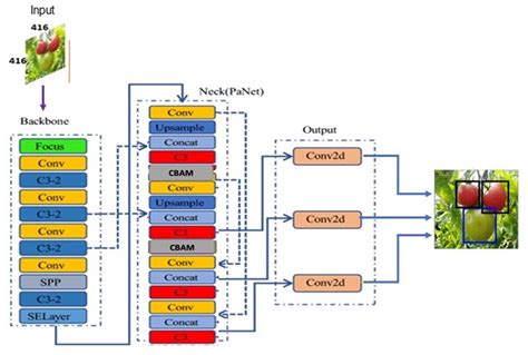 CAM-YOLO: tomato detection and classification based on improved YOLOv5 using combining attention ...