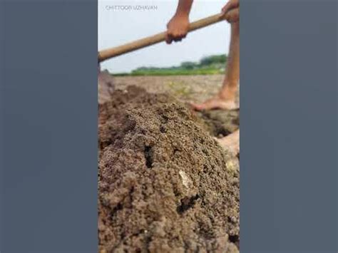 பாத்தி / windrow formation #short #farming #agriculture #agrifacts ...