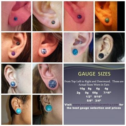 Plugs come in various gauge sizes and colors. | The 14 Weirdest Things People Put In Their ...