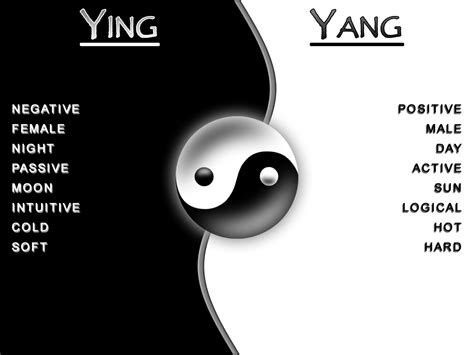 Yin – Yang – The Becoming Whole Again Project