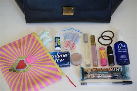 Bag Inside The Bag - Cupcakes & Cashmere