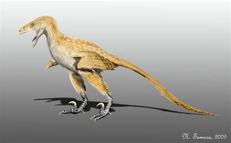 Bambiraptor | Dinosaurs - Pictures and Facts