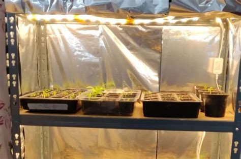 DIY Grow Tent: 11+ Easy Yet Inexpensive Grow Box Ideas