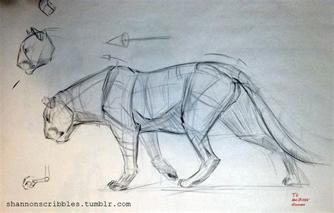 Scribbles. Animal Sketches, Animal Drawings, Art Sketches, Art Drawings ...