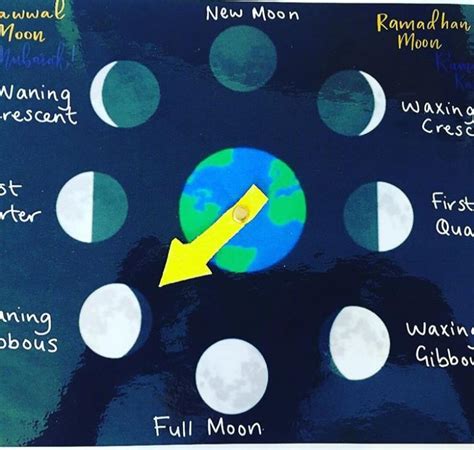 Blox Fruits Moon Chart