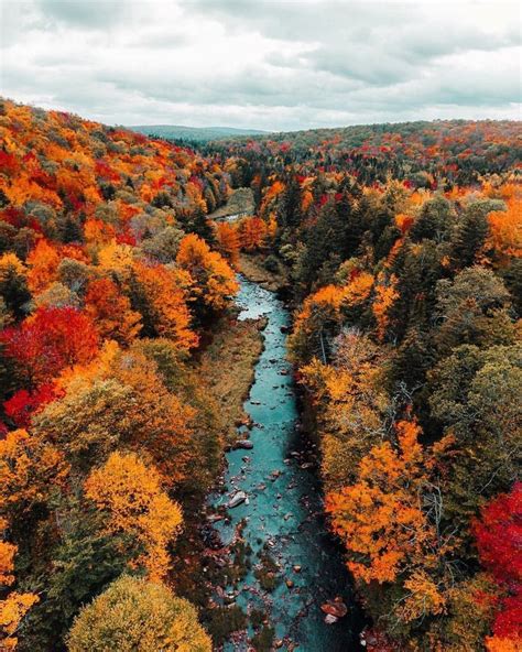 Autumn colors along Deerfield River in Vermont. Photo by ...