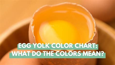 Hard Boiled Egg Yolk Color Chart