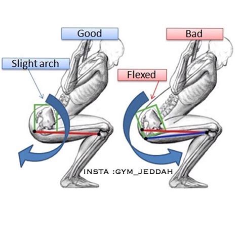 Pelvic Tilt and Squats: Butt Winking and Posterior Pelvic Tilt - [P]rehab