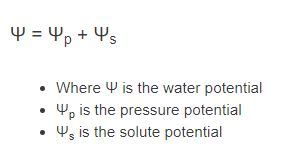 Water Potential Calculator | Formula | - Calculator Academy