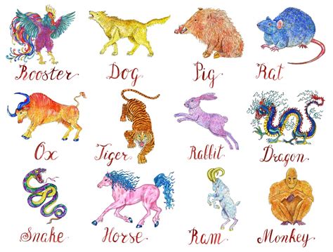 Chinese Zodiac Animal Compatibility