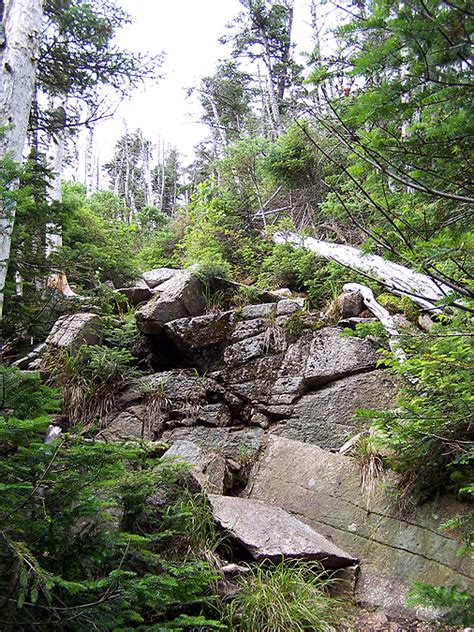 Hiking in the White Mountains and Adirondacks: Willey Range with Lee and Dion