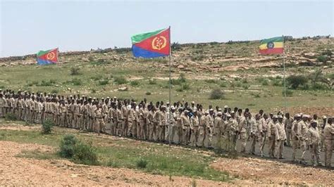 Eritrea starts big offensive in Ethiopia's Tigray region - TPLF - BBC News