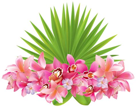 Collection of PNG Tropical Flowers. | PlusPNG